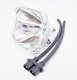 MicroLamp ML10126