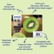 Epson Kiwi 202XL #3