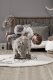 Kid’s Concept 413761 #4