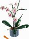 Lego Botanicals Orchid #2