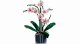 Lego Botanicals Orchid #3