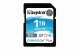 Kingston Technology Canvas Go! Plus