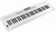 Roland GO:KEYS 5 White #2