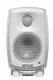 Genelec 6010A #1