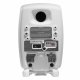 Genelec 6010A #2