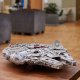 Lego Star Wars Millennium Falcon Collector Set #4