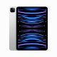 Apple Pro (4th generation) iPad Pro #2