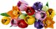 Lego Botanicals Tulip Bouquet #2