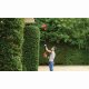 Black & Decker PH5551-QS #3