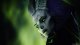 Take-Two Interactive Marvel's Midnight Suns - Enhanced Edition #4