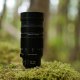 Panasonic Leica DG Vario-Elmar 100-400 mm / F4.0-6.3 II ASPH. / POWER O.I.S. #6