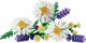 Lego Botanicals Daisies #2