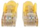 Intellinet Cat6 UTP, 5m #3