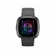 Fitbit Sense 2 #2
