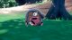 Nintendo Pokémon Scarlet #5