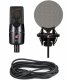 sE Electronics X1 S Vocal Pack #3