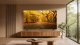 TCL MSQLED80L 85MSQLED80L #2