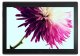 Lenovo TAB 4 10 Plus #1