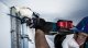Bosch S 1156 XHM #4