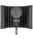 sE Electronics X1 S Studio Bundle