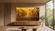 TCL MSQLED80L 98MSQLED80L #2