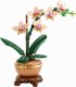 Lego Botanicals Mini Orchid #2