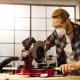 Einhell TE-MS 18/210 Li-Solo #11