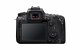 Canon EOS 90D + EF-S 18-135mm f/3.5-5.6 IS USM #4