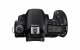 Canon EOS 90D + EF-S 18-135mm f/3.5-5.6 IS USM #3