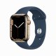 Apple Watch Series 7 #1