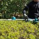 Makita DUN600L #8