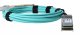 BlueOptics Q28-AOC-25M-VA-BO #4