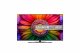 LG UHD 65UR81006LJ