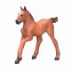 Mojo Fun Arabian Foal Chestnut #2