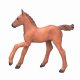 Mojo Fun Arabian Foal Chestnut
