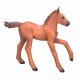 Mojo Fun Arabian Foal Chestnut #3