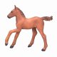 Mojo Fun Arabian Foal Chestnut #5