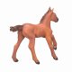 Mojo Fun Arabian Foal Chestnut #4