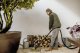 Karcher WD 3 S V-19/4/20 #4