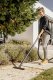 Karcher WD 3 S V-19/4/20 #6