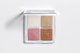 Dior Backstage Glow Face Palette #1