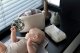 Baby's Only BO-860.862.125.50 #6