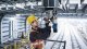 Bosch GBM 50-2 #5