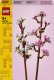 Lego Botanicals Cherry Blossoms