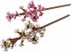 Lego Botanicals Cherry Blossoms #2