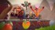 Activision Crash Team Rumble #7