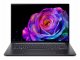 Acer Swift SFX14-73G-79BJ
