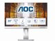 AOC P1 X24P1/GR