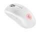 MSI Versa 300 Wireless #2