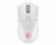 MSI Versa 300 Wireless